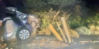 Na Paradera chauffeur a perde control bay ranca sosten di palo di lus y resulta herida