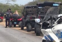 Quadracer a bay cay den greppel diamars merdia