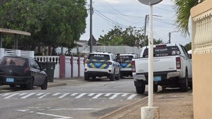 Supuesto hincamento Mandolinstraat Puma_20260914_174317