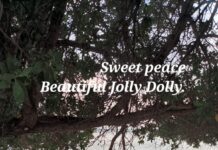 JOLLY DOLLY IN THE PEACE OF LOVE AND LIGHT