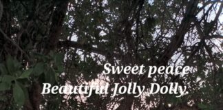 JOLLY DOLLY IN THE PEACE OF LOVE AND LIGHT
