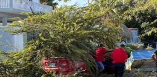 Dama herida despues di a perde control cu su auto ariba Sasaki