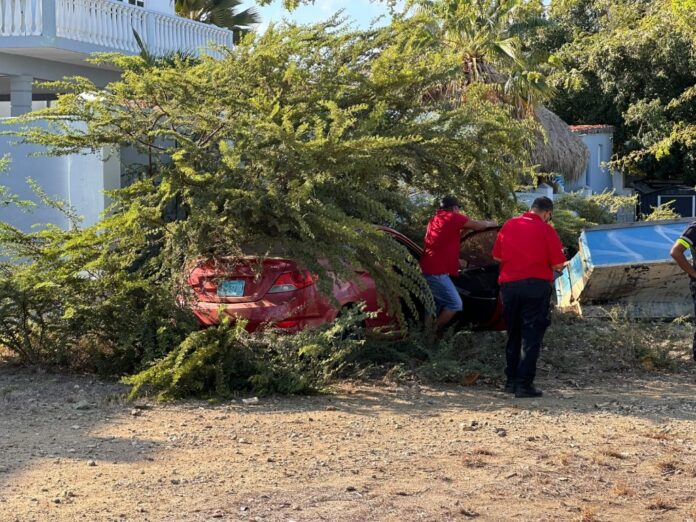 2_Accidente Sasaki
