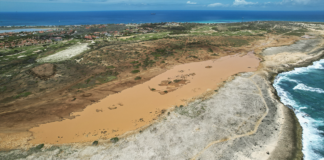 ACF ta enfatisa e importancia di proteccion di biodiversidad y ecosistemanan den planificacion y desaroyo di Aruba