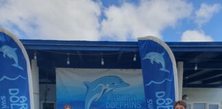 Aruba Dolphins Open Water 2026: Un mainta di deporte, competencia y inclusionĀ