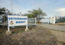 Recordatorio orario di servicio di Abattoir (Veterinaire Dienst) pa temporada druk di November y December 2026