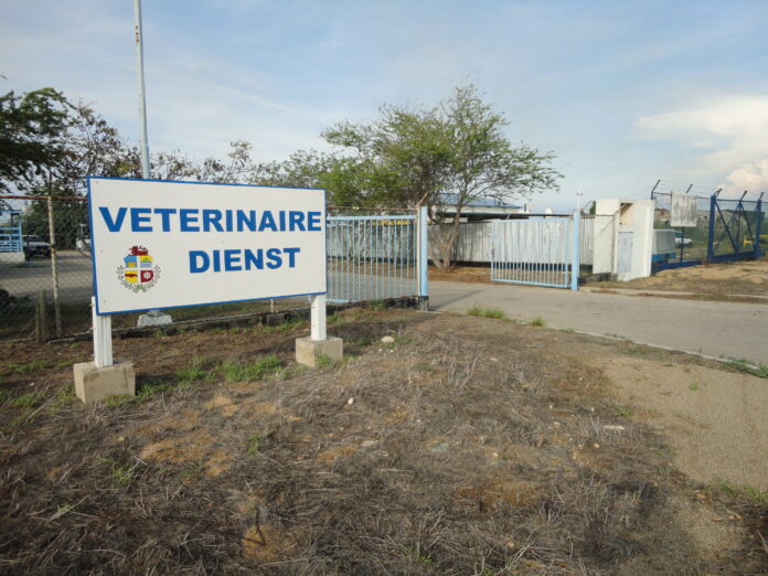 DSC02451