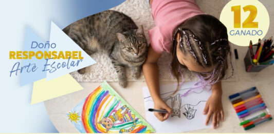 DVG ta anuncia cu entusiasmo e 12 ganadonan di e Competencia di Arte Escolar โDoรฑo Responsabelโ