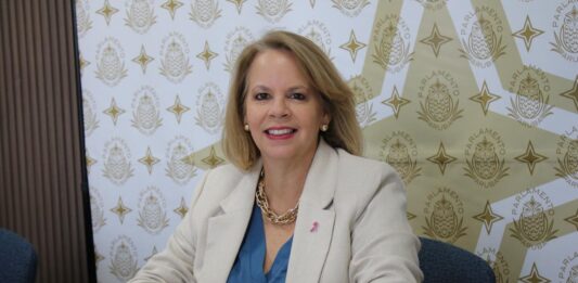 Lider di MEP Evelyn Wever-Croes ta expresa preocupacion: Parlamento y gobierno no por sigui keda sin accion dilanti di e crisis di turismo