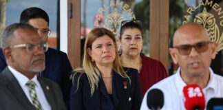 Fraccion AVP a ricibi manifesto di PPA: Proteccion huridico y responsabilidad publico mester cana hunto