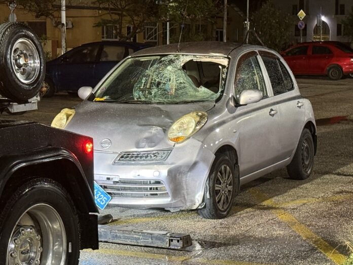 Nissan March caso Winter Garden
