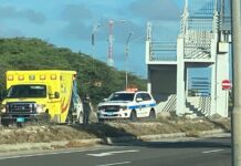 Polis a yuda dama cu a bira malo riba caminda