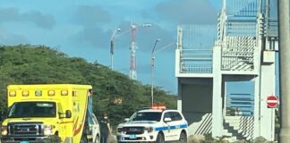 Polis a yuda dama cu a bira malo riba caminda