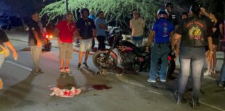 Chauffeur a hit & run, lagando un motorciclista herida na Palm Beach, polis a detene e chauffeur!
