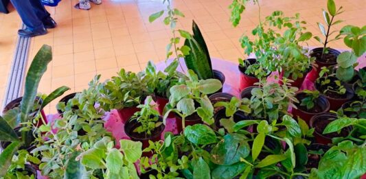 Dia Mundial di Agricultura y Alimentacion Centro di Bario Noord ta invita comunidad: Bin discubri, cumpra y disfruta di productonan fresco, natural y, naturalmente, LOCAL!Â