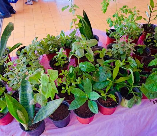 Dia Mundial di Agricultura y Alimentacion Centro di Bario Noord ta invita comunidad: Bin discubri, cumpra y disfruta di productonan fresco, natural y, naturalmente, LOCAL!Ā