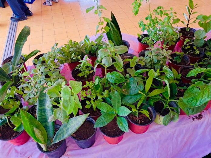 Productonan fresco, natural y LOCAL5